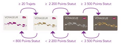 Panorama 2020 des programmes de fidélité à statuts Leoo ADLPerformance