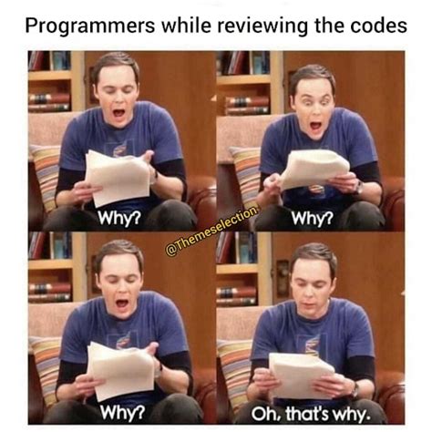 programmer and developer memes