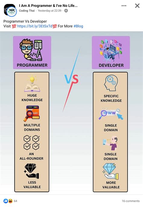 programmer vs developer meme