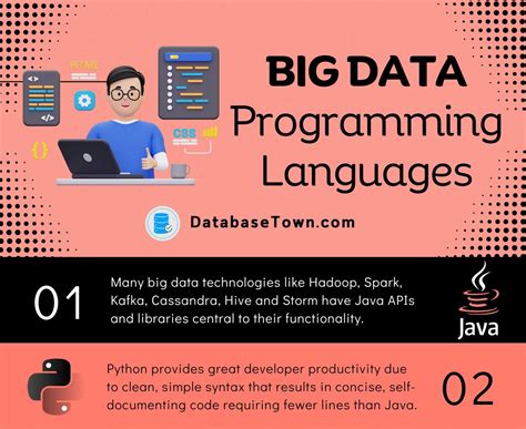 programming language for big data analytics