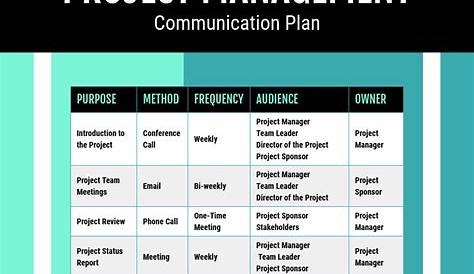 30+ Project Plan Templates & Examples to Align Your Team