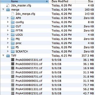 Project Base Directory