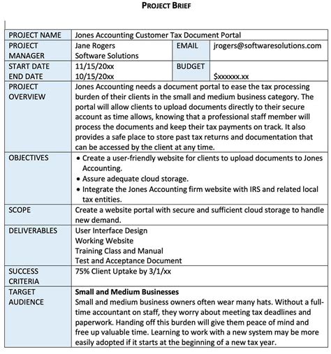Project Briefs Examples