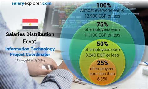 project coordinator salary in egypt