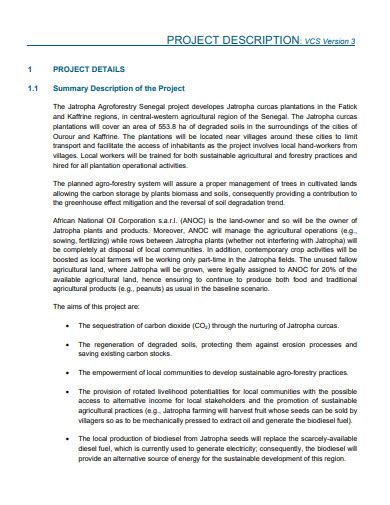 project description sample pdf