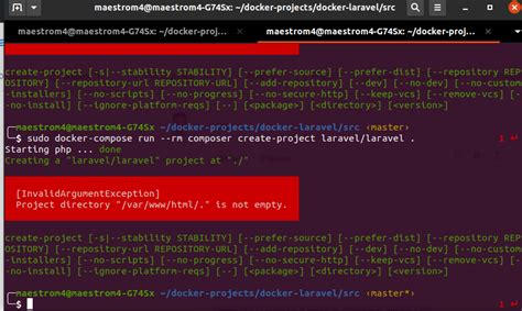 Project Directory Is Not Empty Laravel