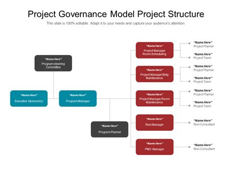 Project Governance Structure Sample