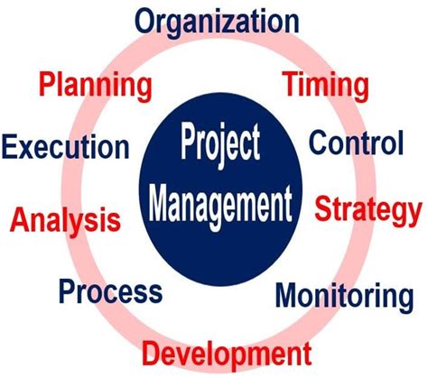 project management definition in simple words