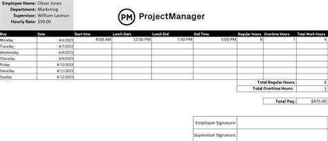 project management timesheet template excel