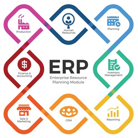 project manager erp systems