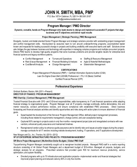 project manager resume summary statement examples