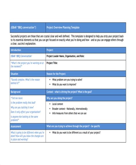 project overview document template