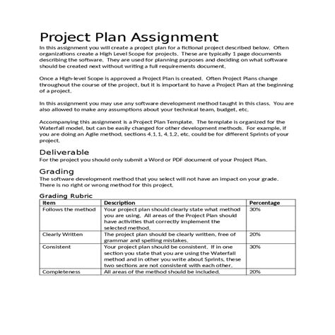 Project Plan Assignment Sample