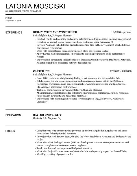 project planner cv examples