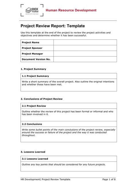 project review report examples