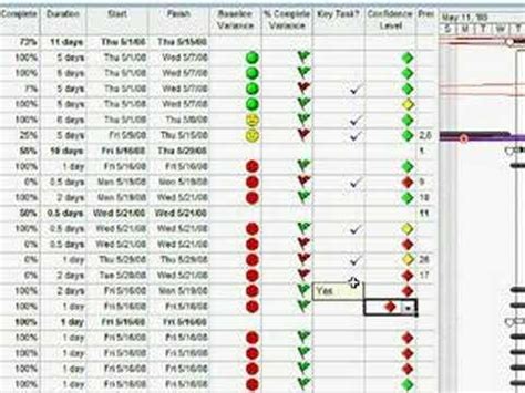project schedule status indicator