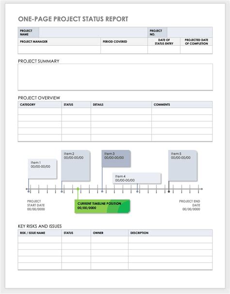 project status report example word
