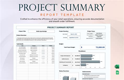 project summary report template excel