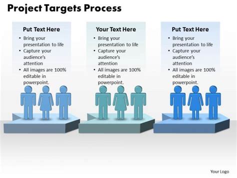 project target definition