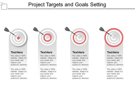 project target examples