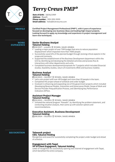 project title in cv examples
