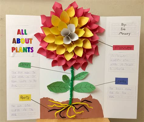 project topics in plant science and biotechnology