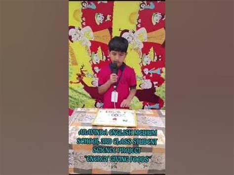 project work for 3rd class students