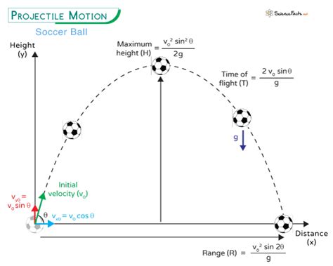 projectile motion definition in physics