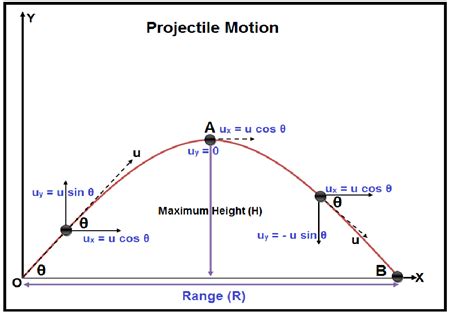 projectile motion diagram with its components