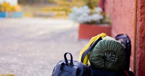 Projector In Baggage