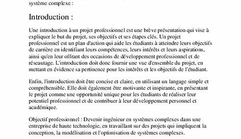 Modèle Projet Professionnel.pdf Connaissances Concept