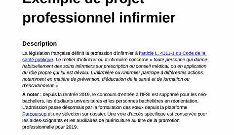 Exemple Projet Professionnel Infirmier Ue 33 S5 Exemple