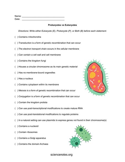 prokaryote vs eukaryote worksheet