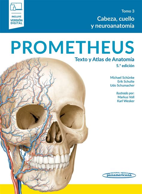 Incredible Prometheus Cabeza Y Cuello Updated