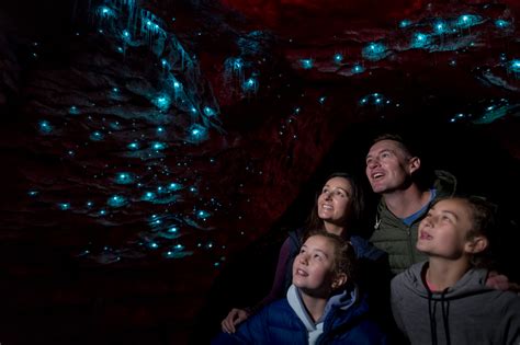 Promo Code For Glow Worm Caves