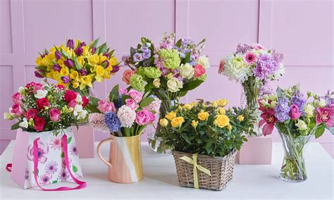 Promotion Code For Next Flowers