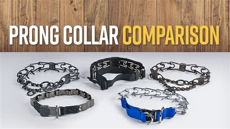 Prong Collar Vs Headcollar