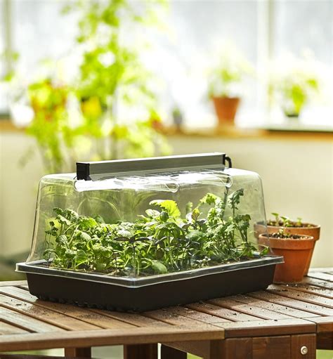Propagation Tray With Dome