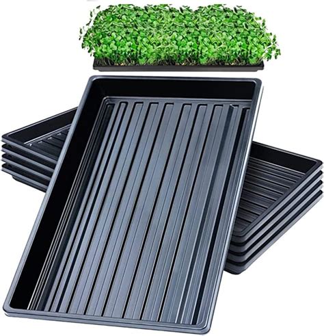 Propagation Trays