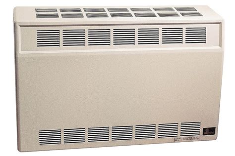 Propane Heaters Direct Vent