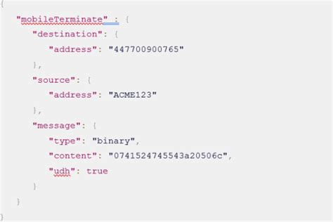 Proper Json Example
