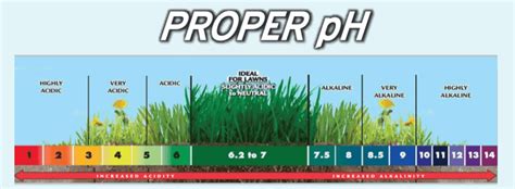 proper ph for grass