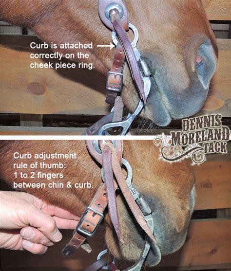 Proper Placement Of Curb Strap