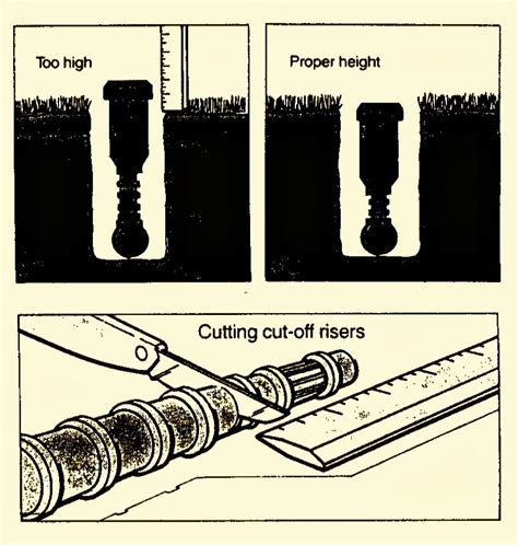 Proper Sprinkler Head Height