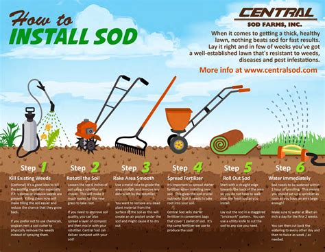 properly prepared soil