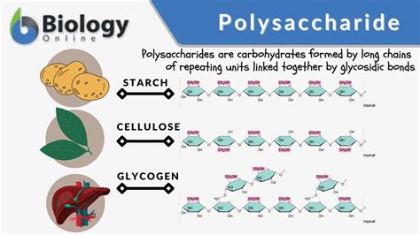 Properties of Polysaccharides