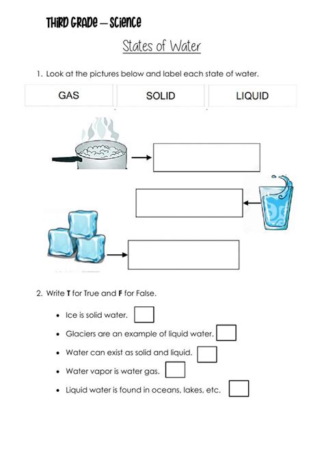 properties of water worksheet for grade 3