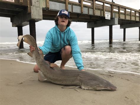 Property Shark St Augustine Fl