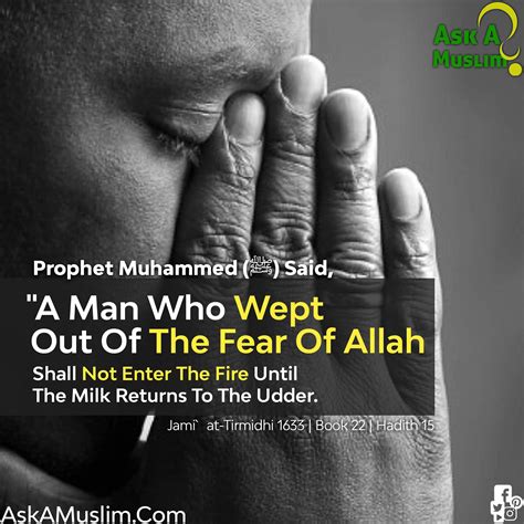 prophet of the fear