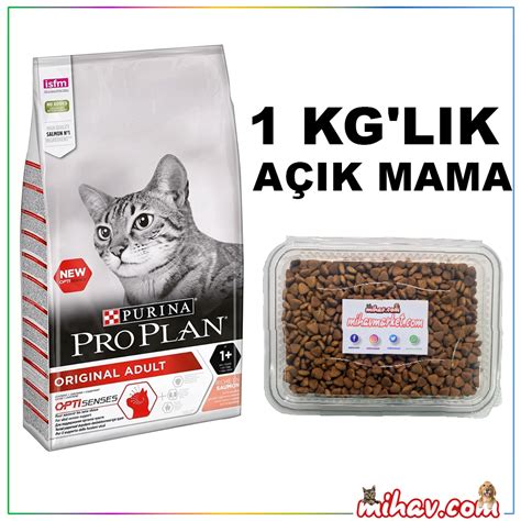 proplan yetişkin kedi maması